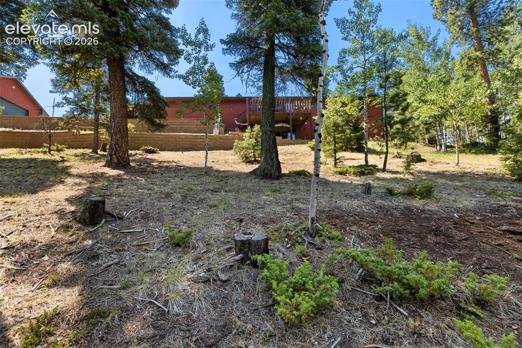 69 Cody Creek Trail Divide CO 80814