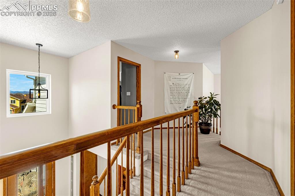 8415 Wilmington Drive Colorado Springs CO 80920