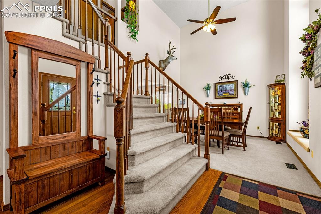 8415 Wilmington Drive Colorado Springs CO 80920