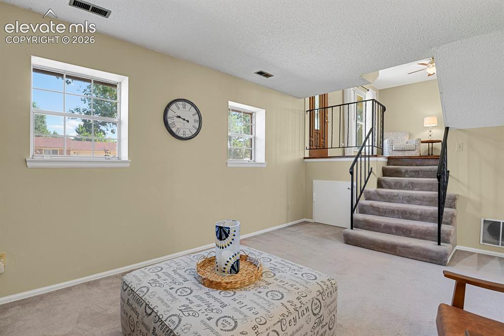 4641 Newton Drive Colorado Springs CO 80916