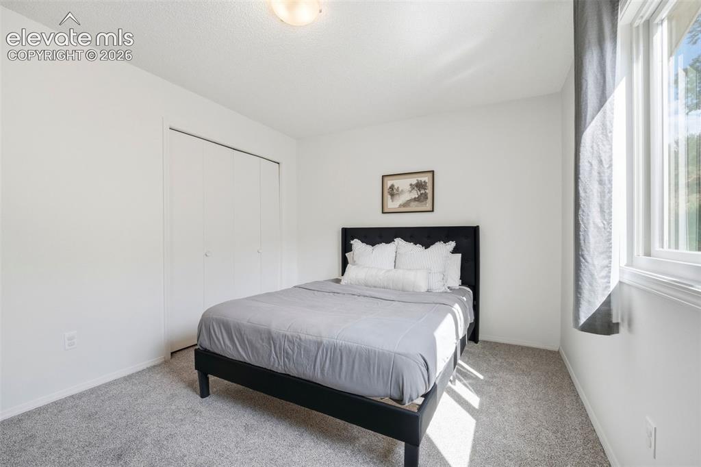 3526 Hofstead Court Colorado Springs CO 80907