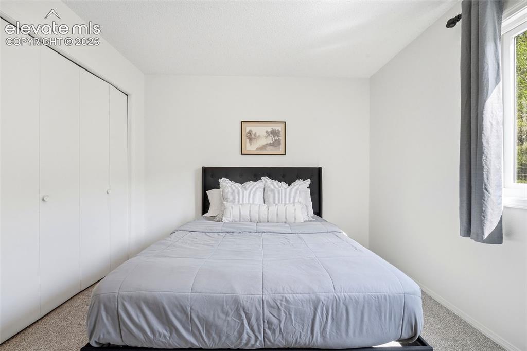 3526 Hofstead Court Colorado Springs CO 80907