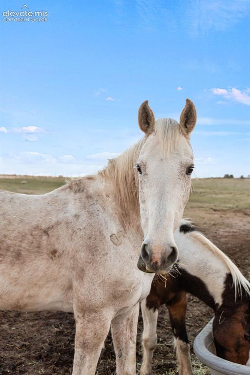 4685 County Road 106 Elbert CO 80106