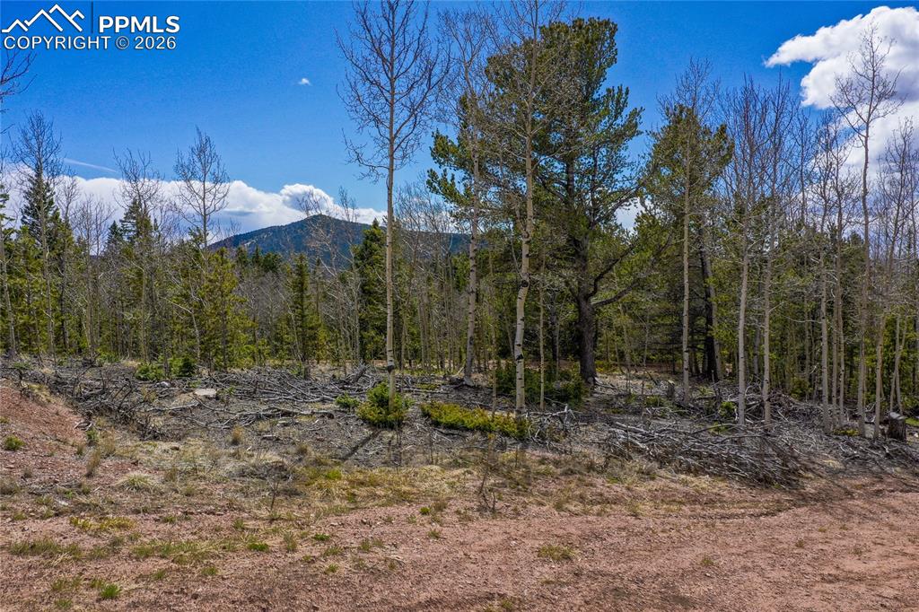 2747 County Road 61 Cripple Creek CO 80813