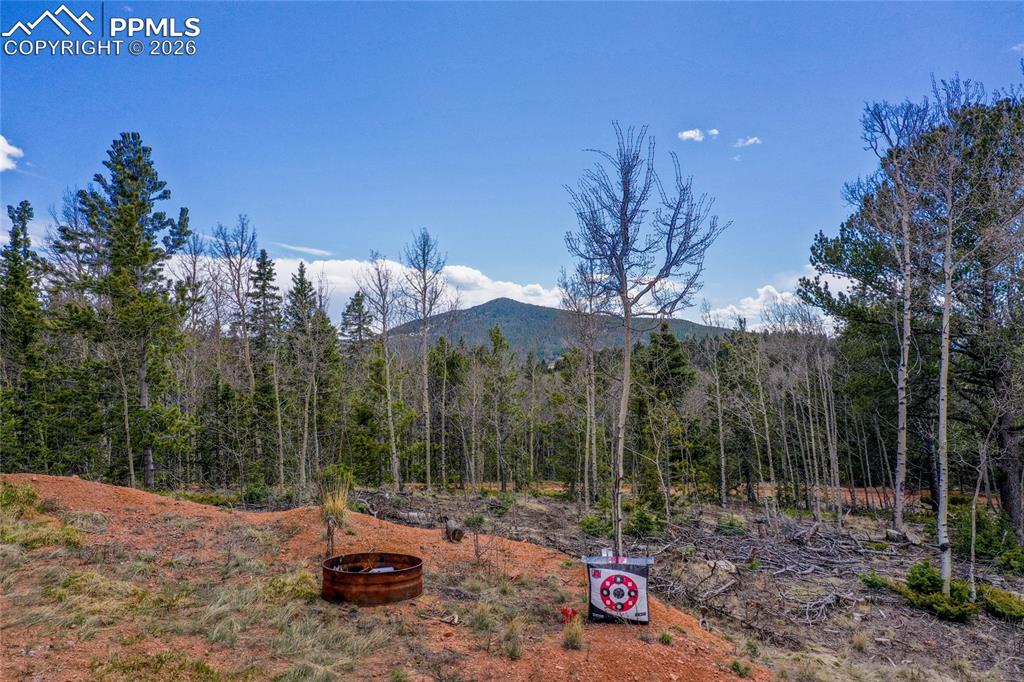 2747 County Road 61 Cripple Creek CO 80813