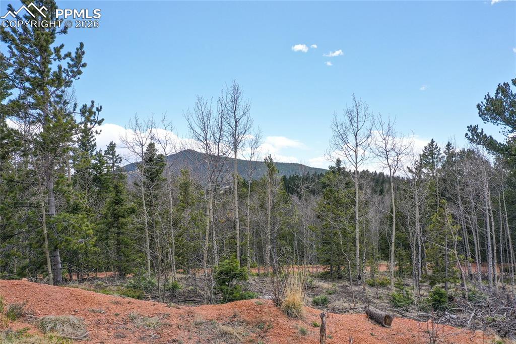 2747 County Road 61 Cripple Creek CO 80813