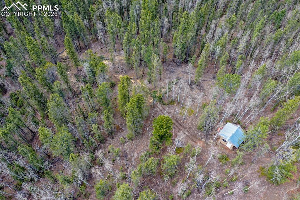 2747 County Road 61 Cripple Creek CO 80813