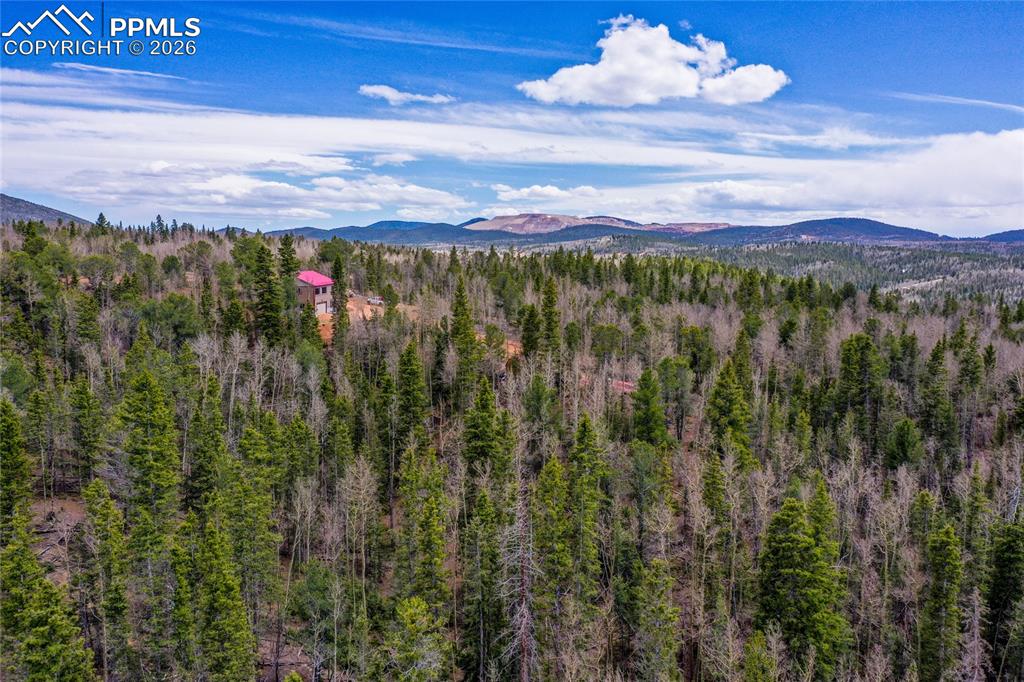 2747 County Road 61 Cripple Creek CO 80813