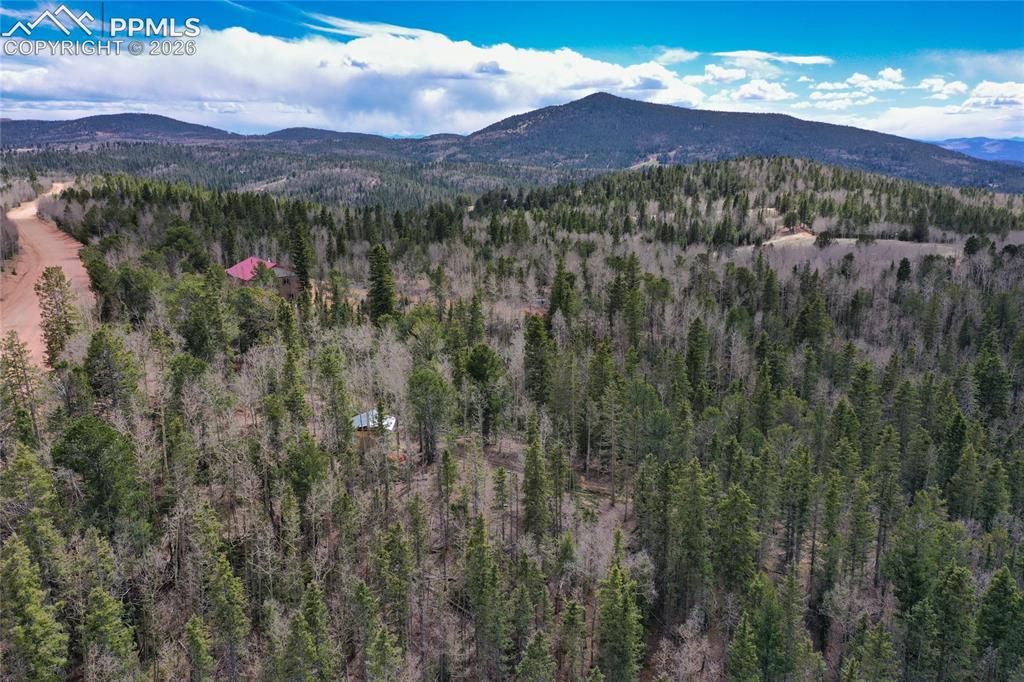 2747 County Road 61 Cripple Creek CO 80813
