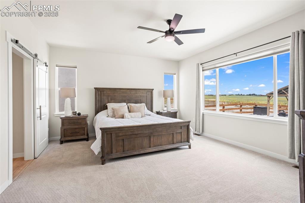 9787 Owl Perch Loop Colorado Springs CO 80908