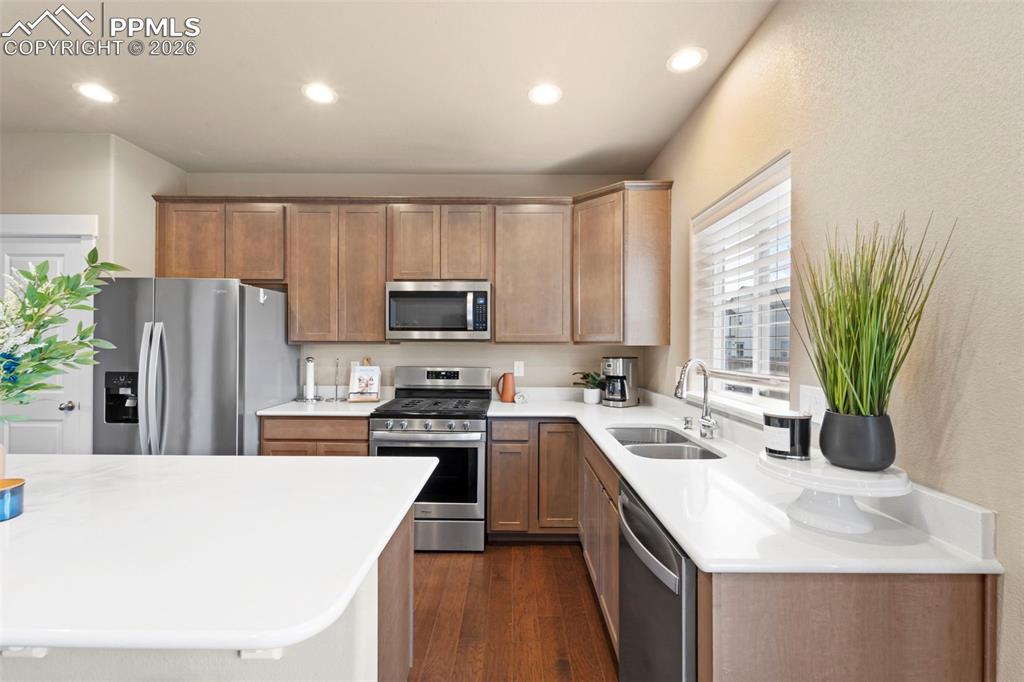 2972 Namib Drive Colorado Springs CO 80939