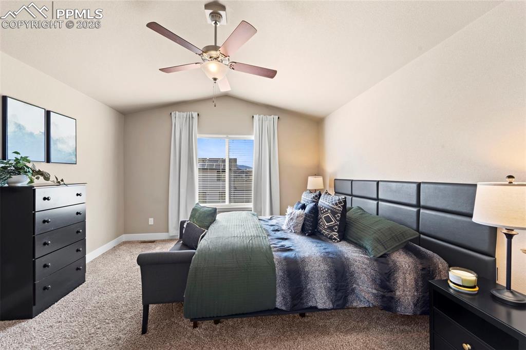 2972 Namib Drive Colorado Springs CO 80939