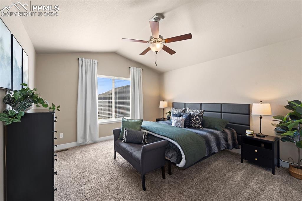 2972 Namib Drive Colorado Springs CO 80939