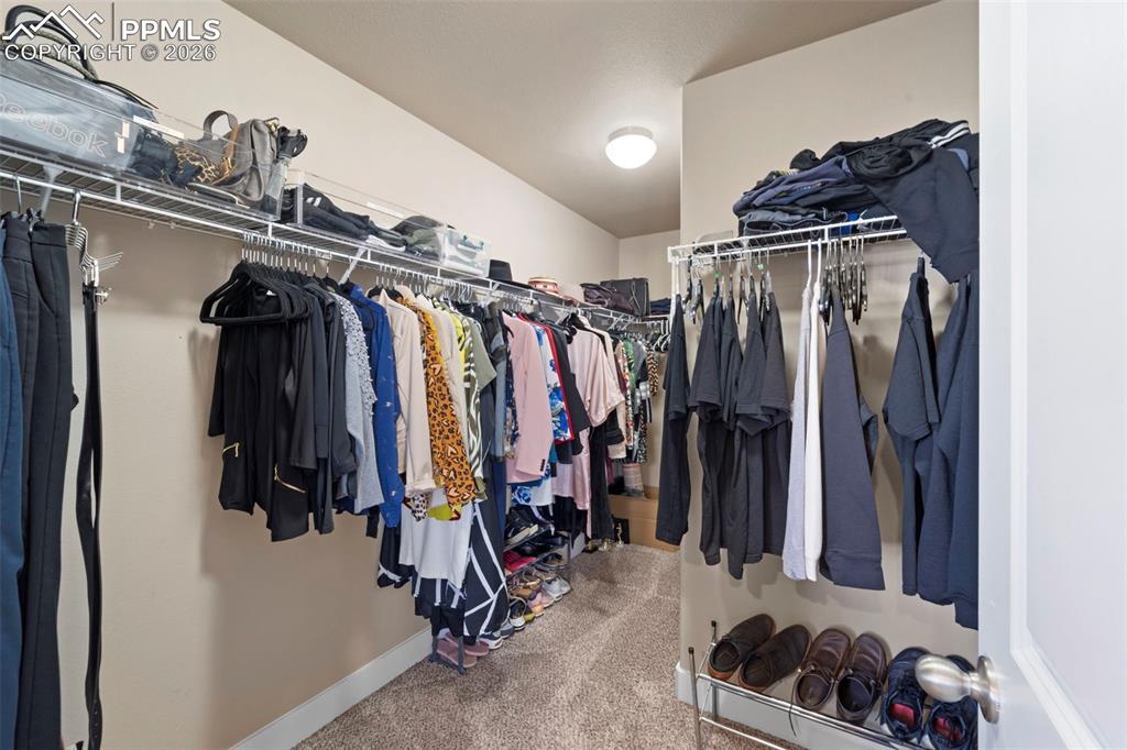2972 Namib Drive Colorado Springs CO 80939