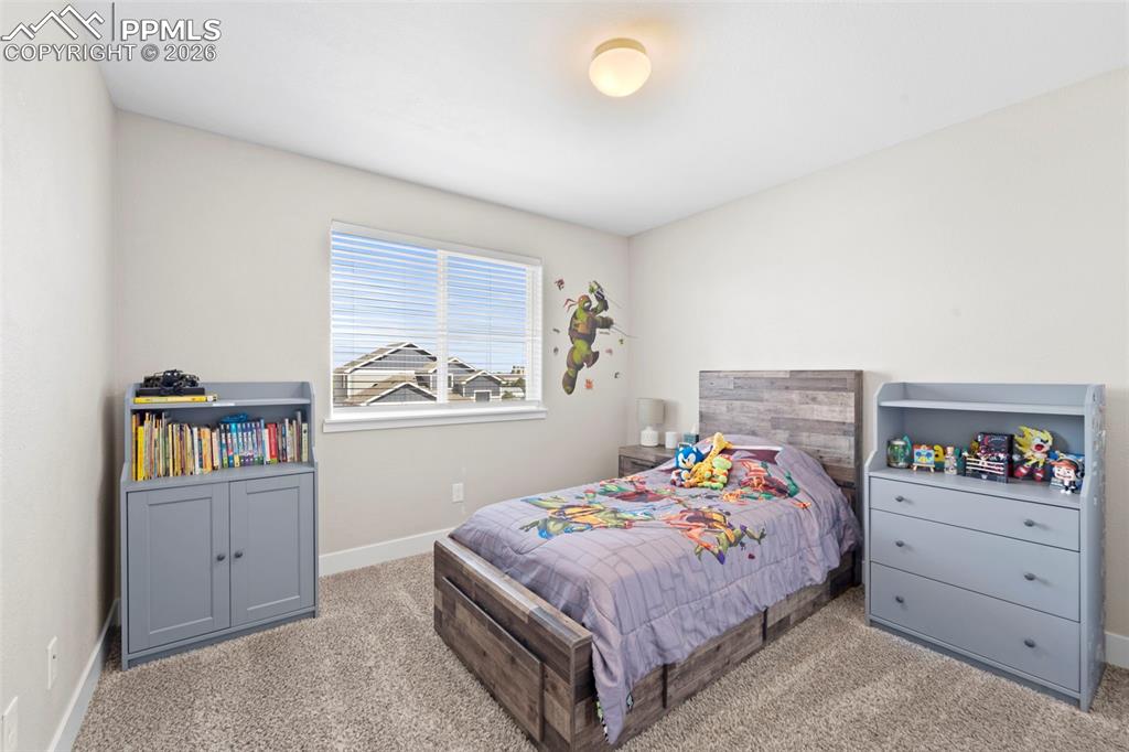 2972 Namib Drive Colorado Springs CO 80939
