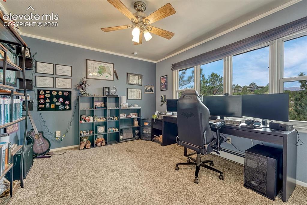 6175 Garlock Way Colorado Springs CO 80918