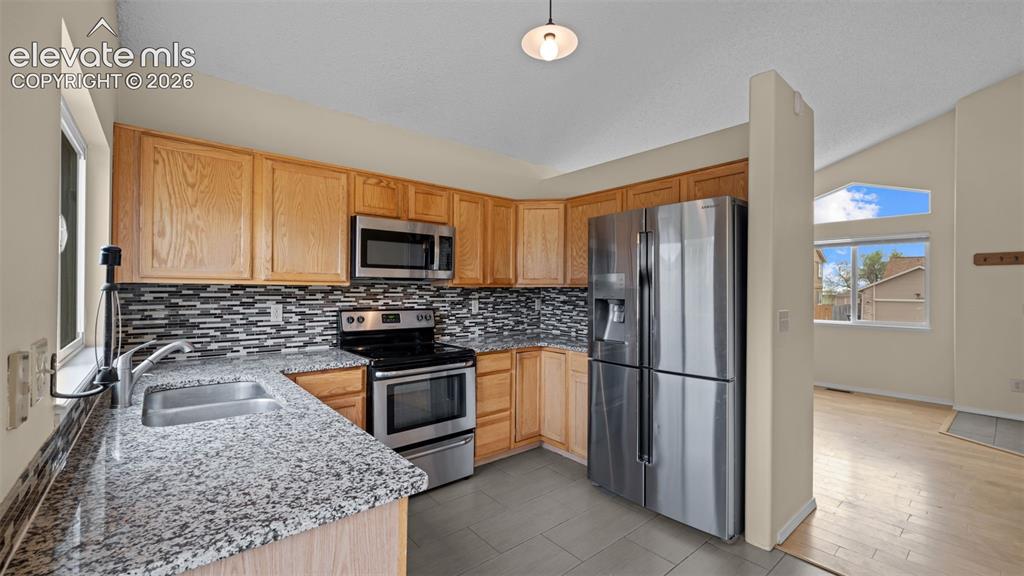 7234 Moss Bluff Court Fountain CO 80817
