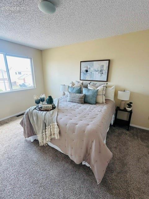 7234 Moss Bluff Court Fountain CO 80817