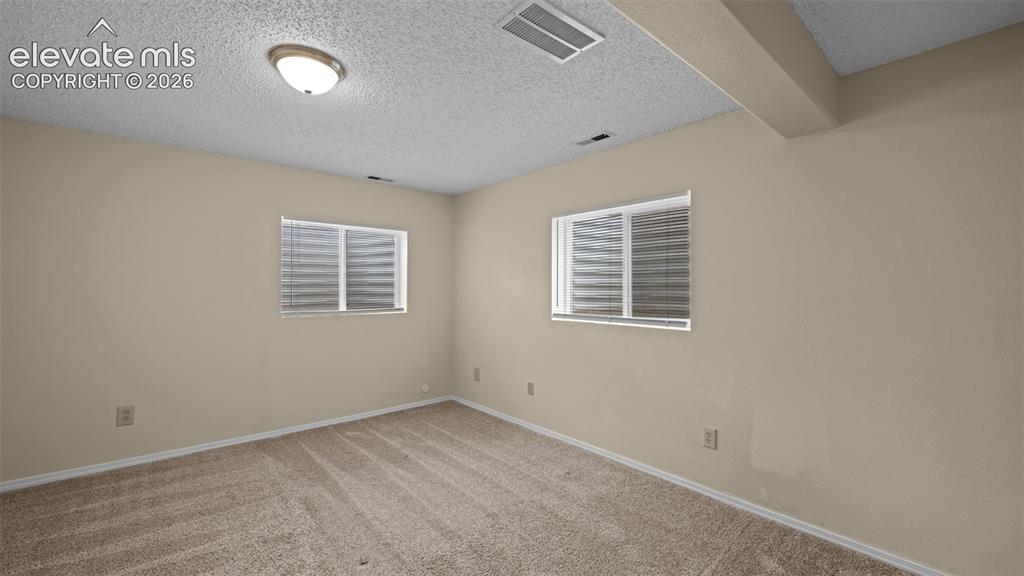 7234 Moss Bluff Court Fountain CO 80817