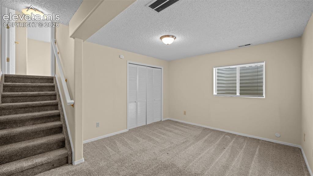7234 Moss Bluff Court Fountain CO 80817