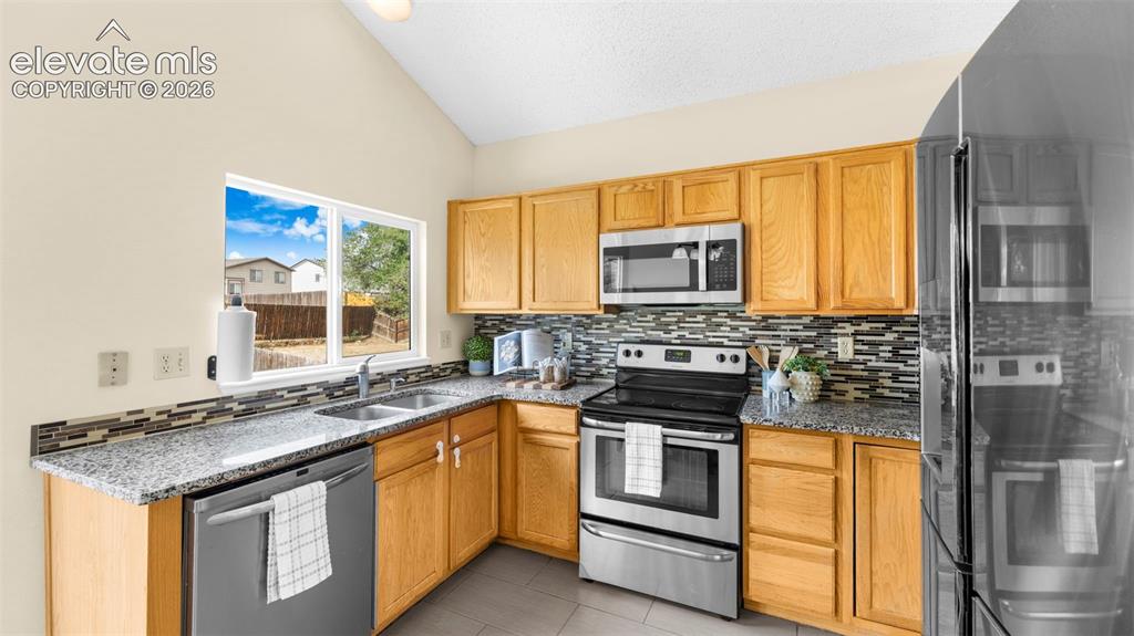 7234 Moss Bluff Court Fountain CO 80817