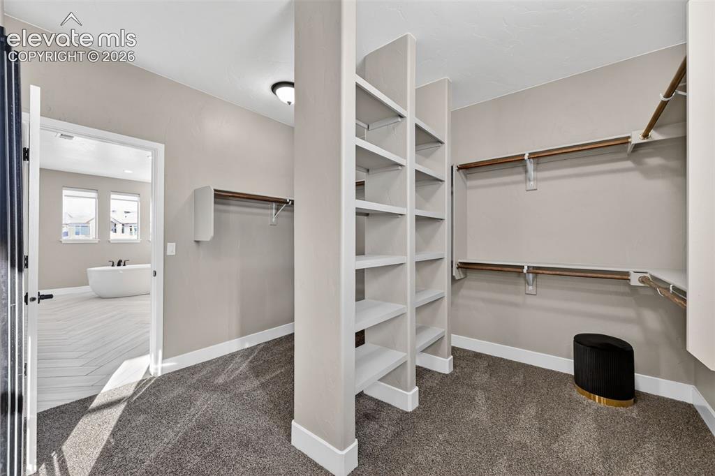 2015 Walnut Creek Court Colorado Springs CO 80921