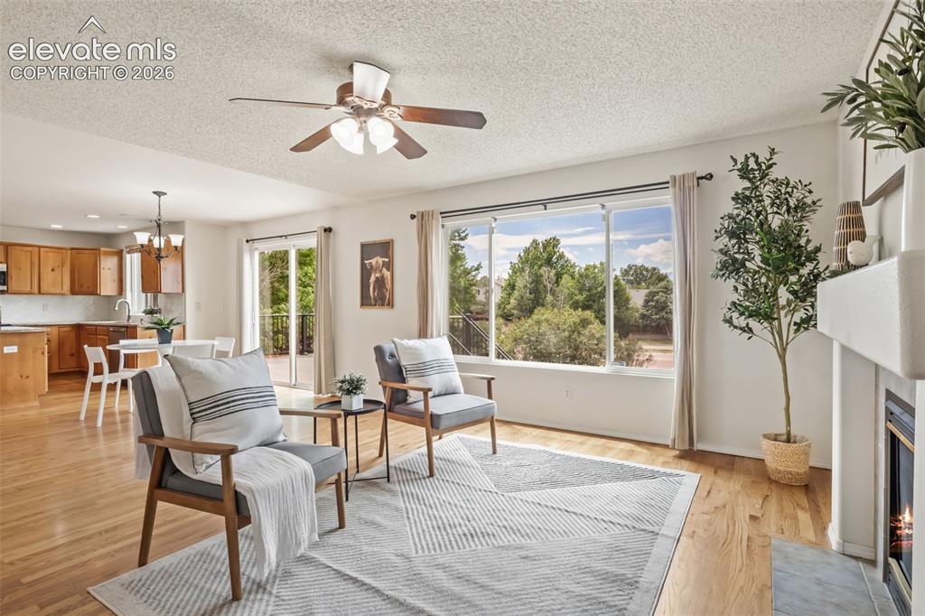 6662 Mcewan Street Colorado Springs CO 80922