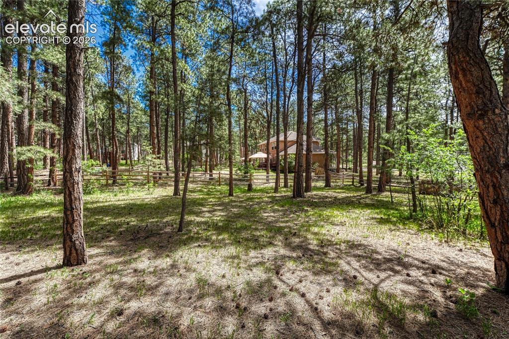 15849 Longmeadow Lane Colorado Springs CO 80921