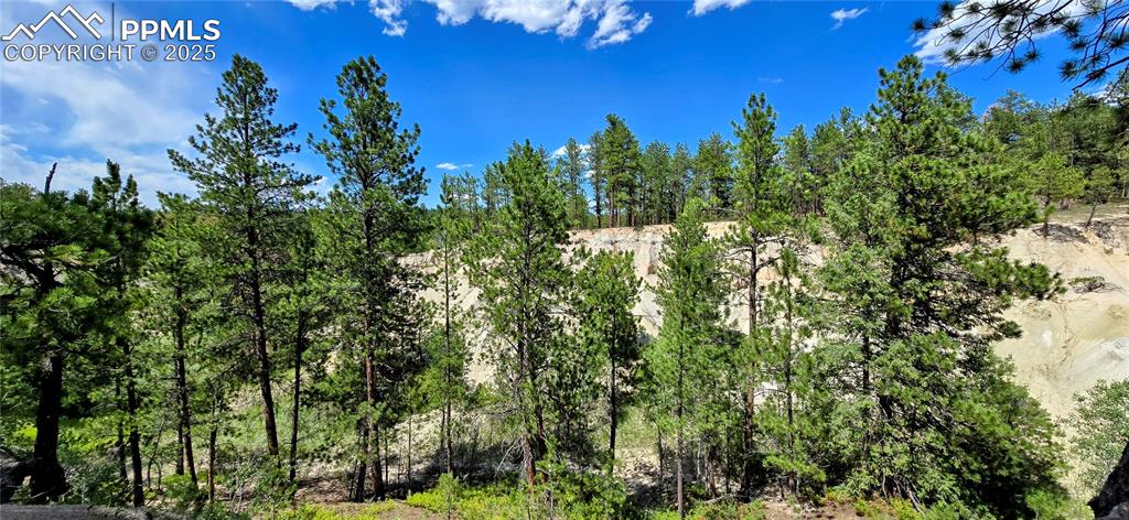 11785 Milam Road Colorado Springs CO 80908