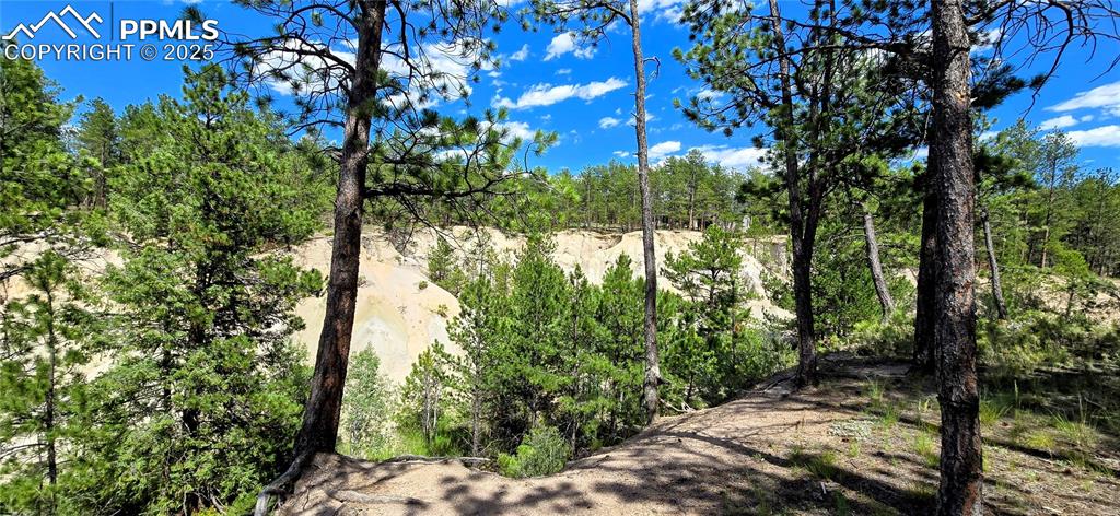 11785 Milam Road Colorado Springs CO 80908