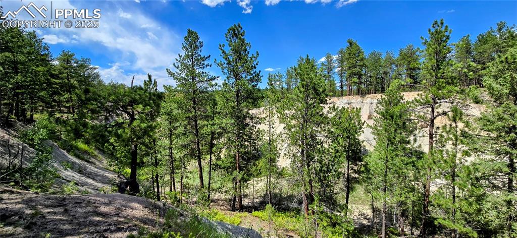 11785 Milam Road Colorado Springs CO 80908