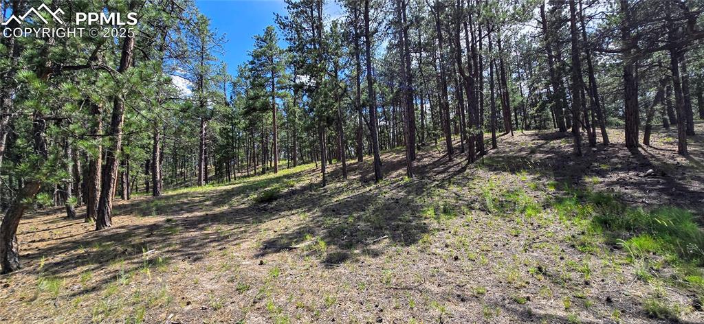 11785 Milam Road Colorado Springs CO 80908