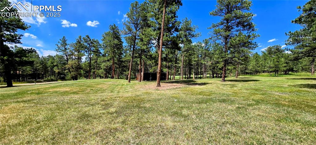 11785 Milam Road Colorado Springs CO 80908