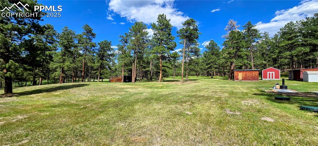 11785 Milam Road Colorado Springs CO 80908