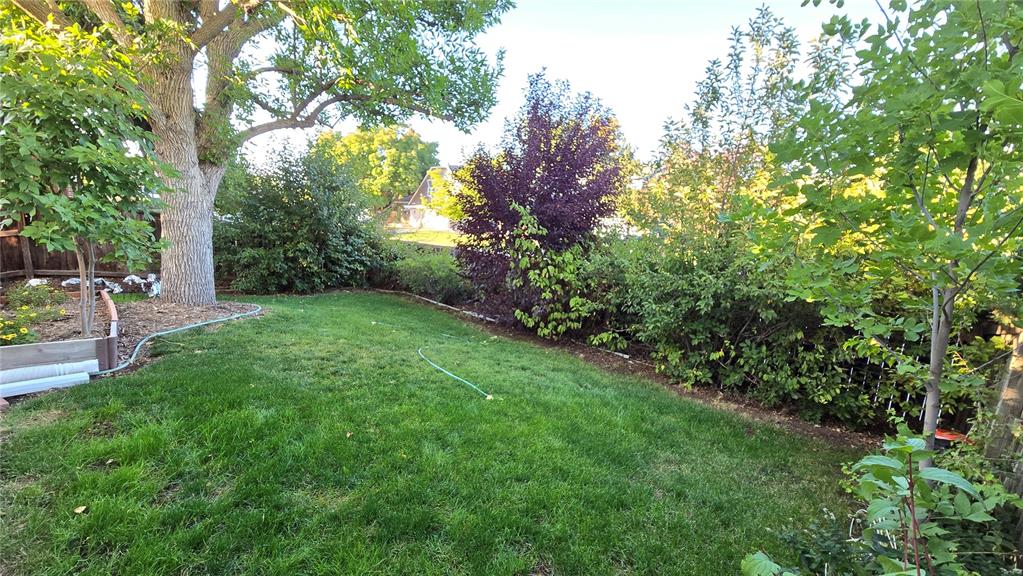 7231 S Webster Street Littleton CO 80128