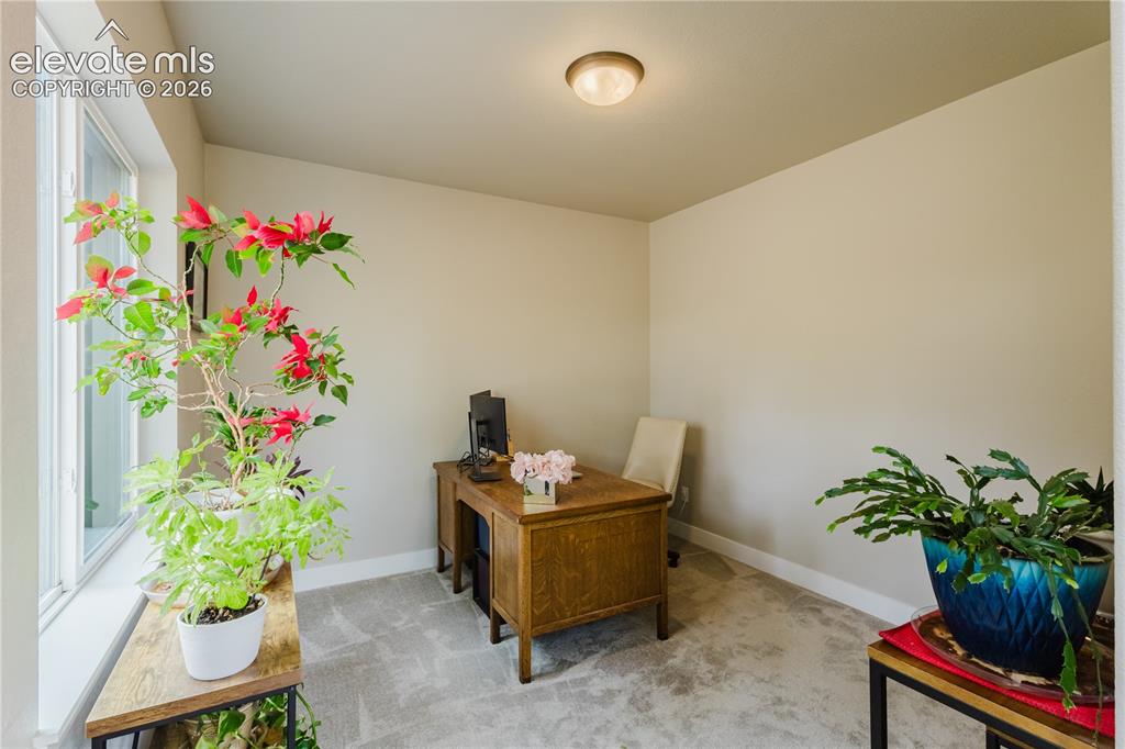 16335 Treetop Court Monument CO 80132