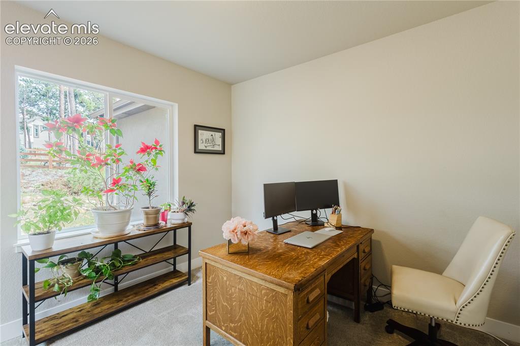 16335 Treetop Court Monument CO 80132
