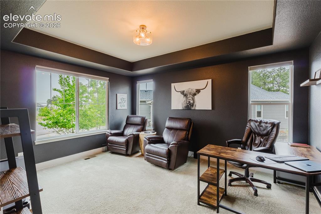 16335 Treetop Court Monument CO 80132