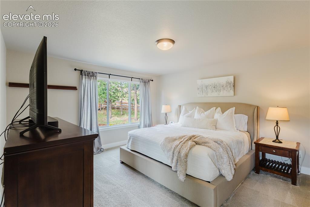 16335 Treetop Court Monument CO 80132