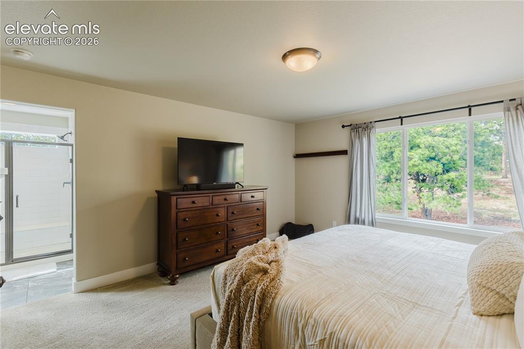 16335 Treetop Court Monument CO 80132