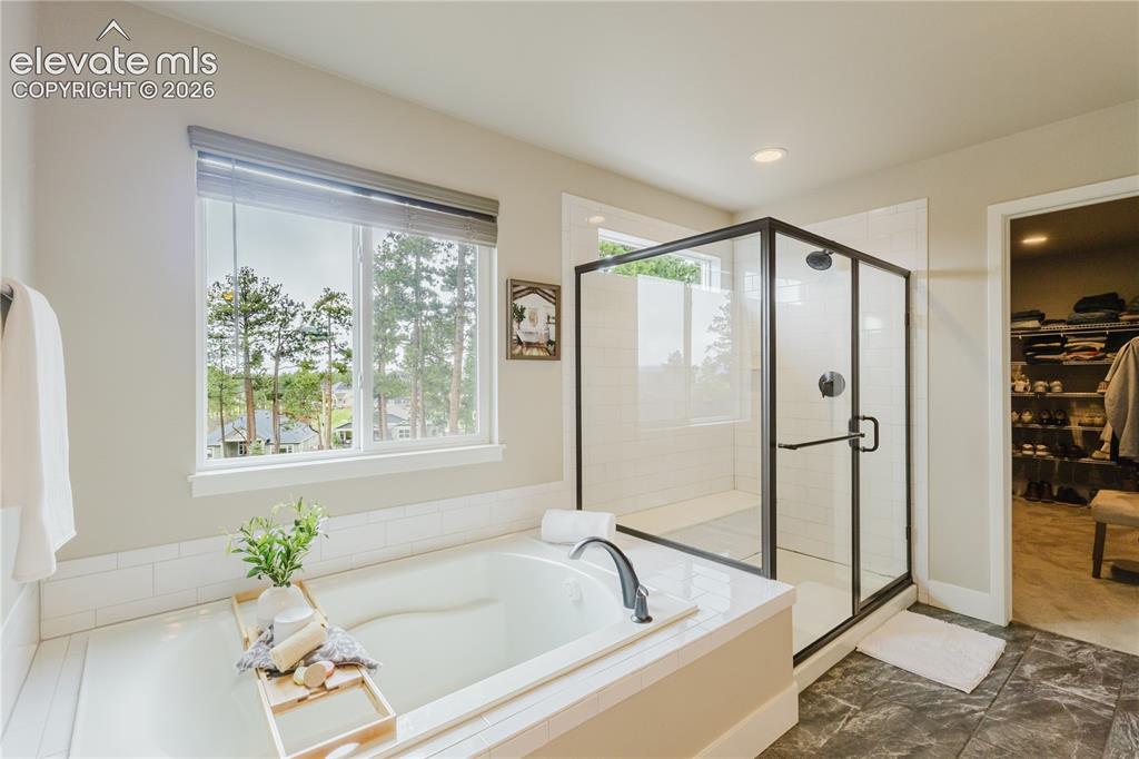 16335 Treetop Court Monument CO 80132