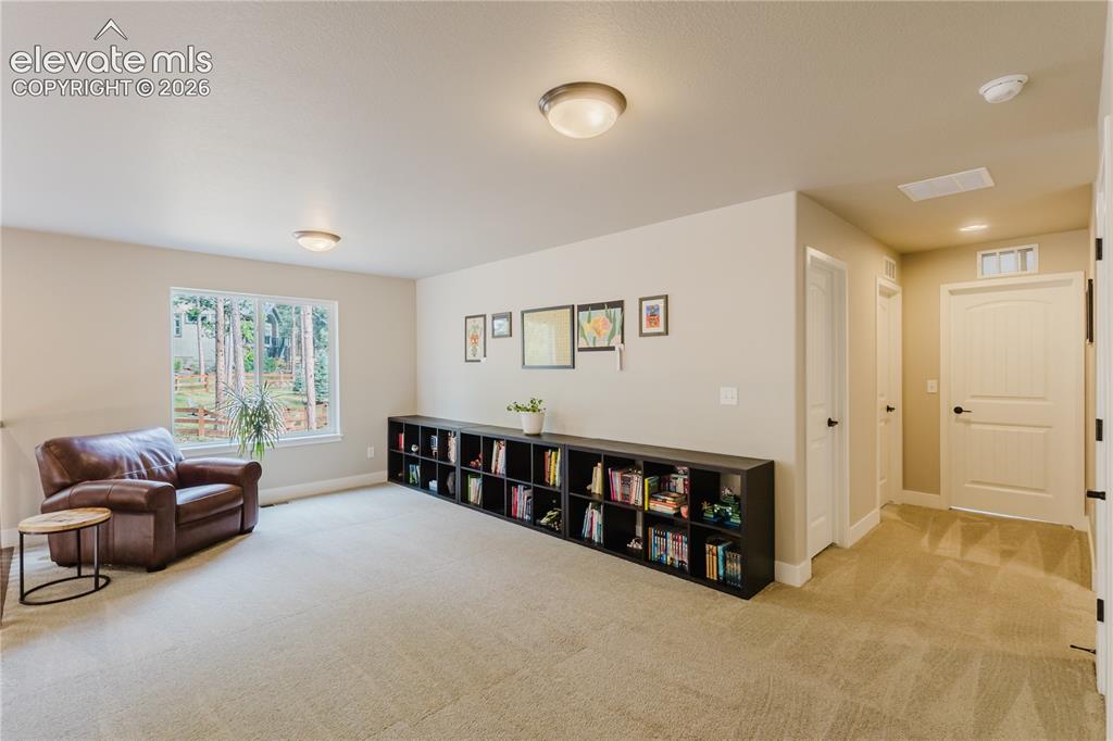16335 Treetop Court Monument CO 80132
