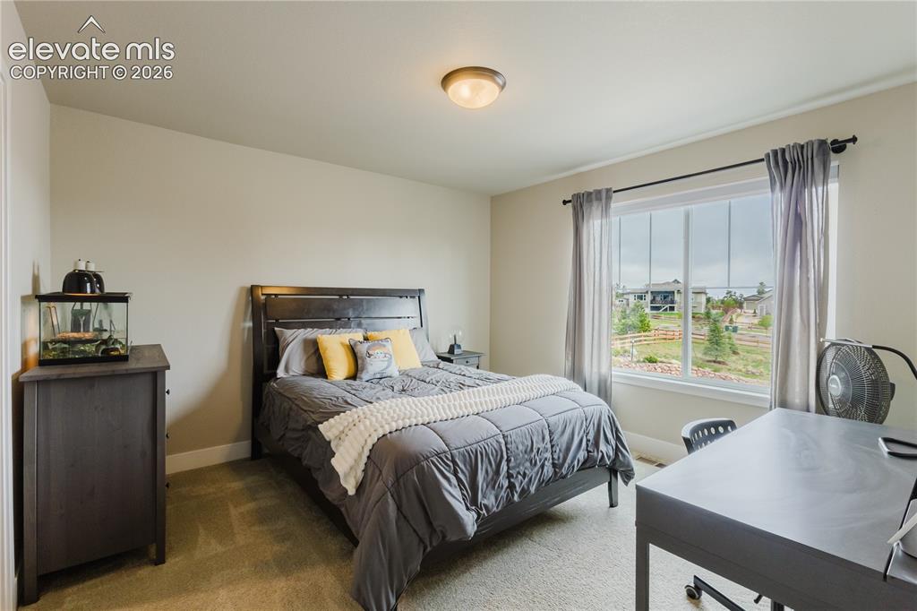 16335 Treetop Court Monument CO 80132