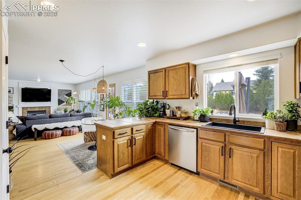 4045 Cherry Plum Drive Colorado Springs CO 80920