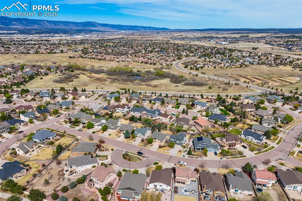 4045 Cherry Plum Drive Colorado Springs CO 80920