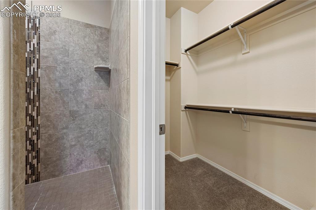 9822 Emerald Vista Drive Peyton CO 80831