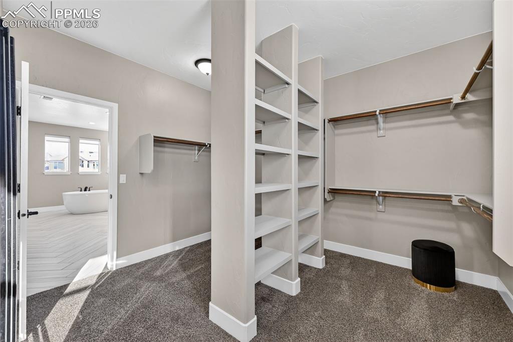2015 Walnut Creek Court Colorado Springs CO 80921