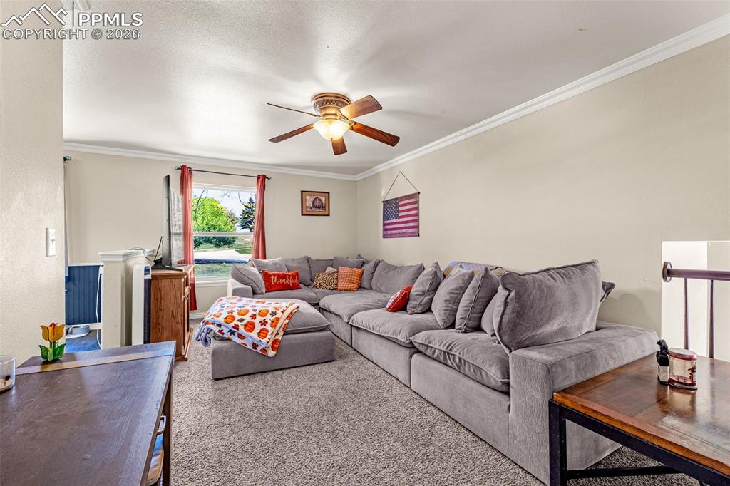 7115 Grand Valley Drive Colorado Springs CO 80911