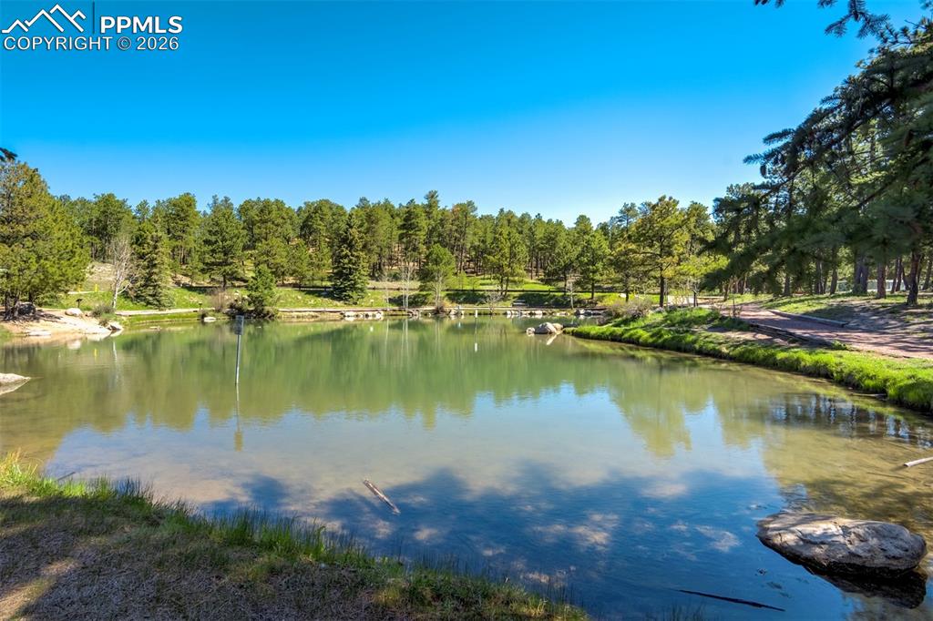15371 Ridgefield Lane Colorado Springs CO 80921
