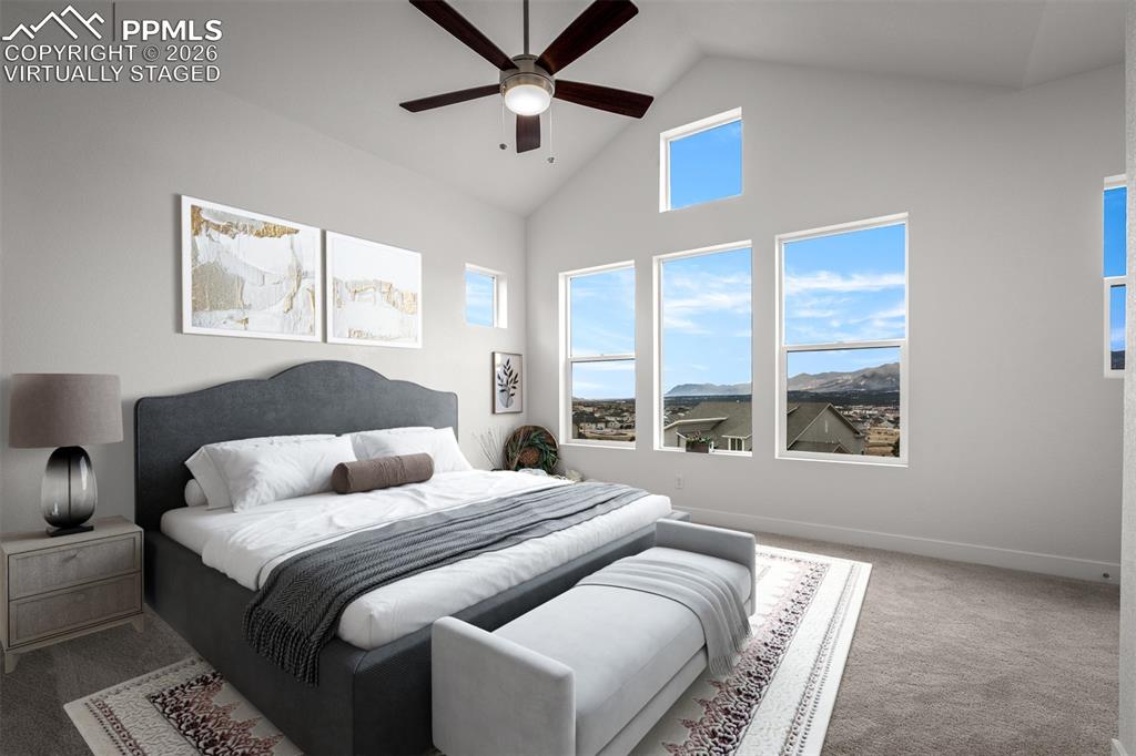 17122 Alsike Clover Court Monument CO 80132